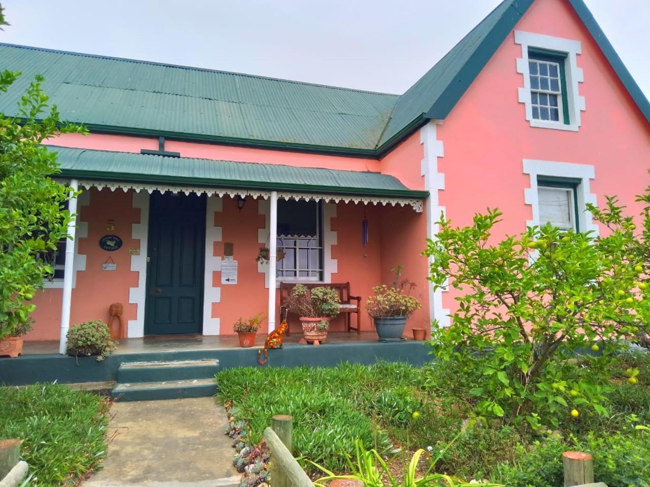 Lemontree Cottage 海德堡 外观 照片