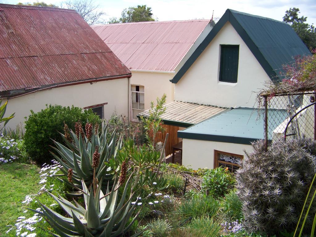 Lemontree Cottage 海德堡 外观 照片